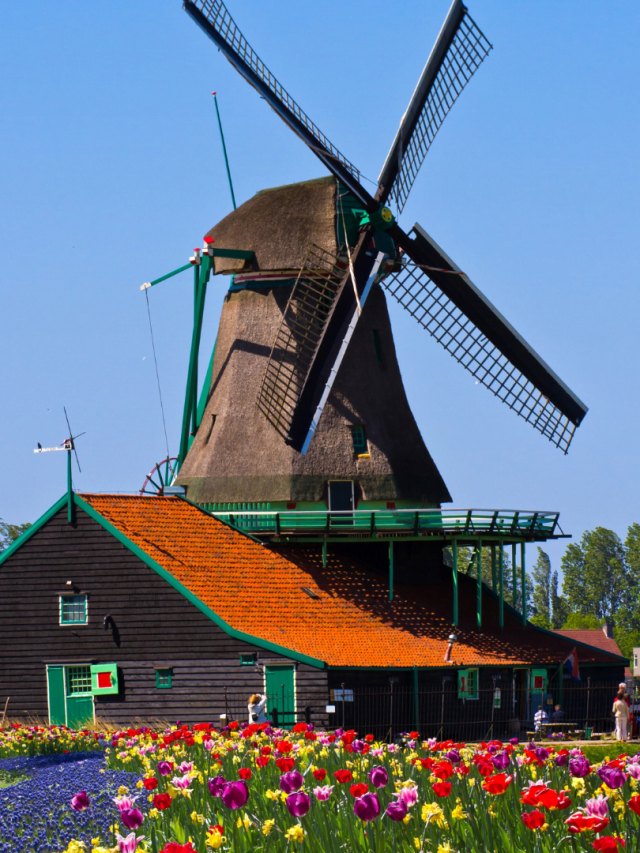 Nederlands A0-A1 online